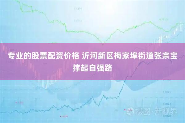 专业的股票配资价格 沂河新区梅家埠街道张宗宝撑起自强路