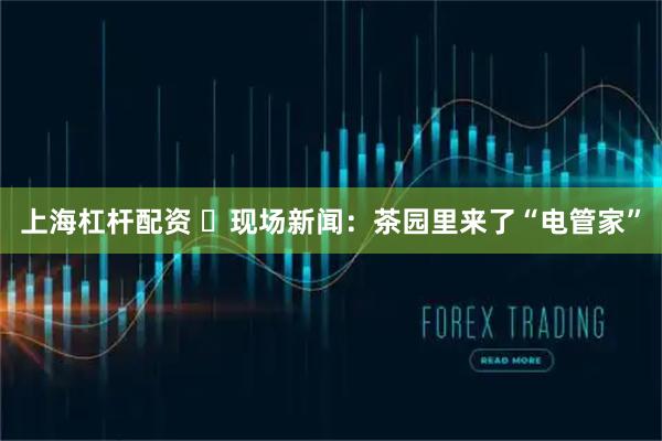 上海杠杆配资 ​现场新闻：茶园里来了“电管家”